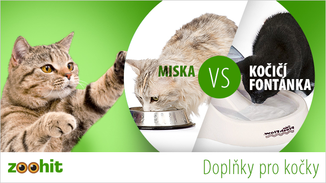 miska versus fontánka