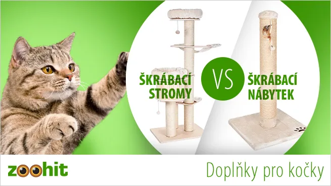 Škrabací stromu versus škrabací nábytek