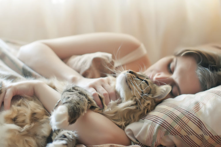 kočka spí s paničkou v posteli