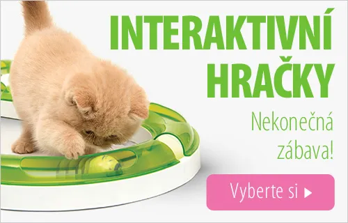 2018_04_IntelligenceToys_C_500x320_CZ