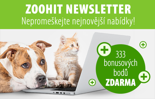 zoohit newsletter