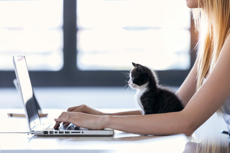 Paní pracuje na laptopu s kotětem