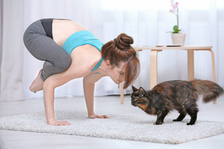 Paní cvičí jógu s kočkou