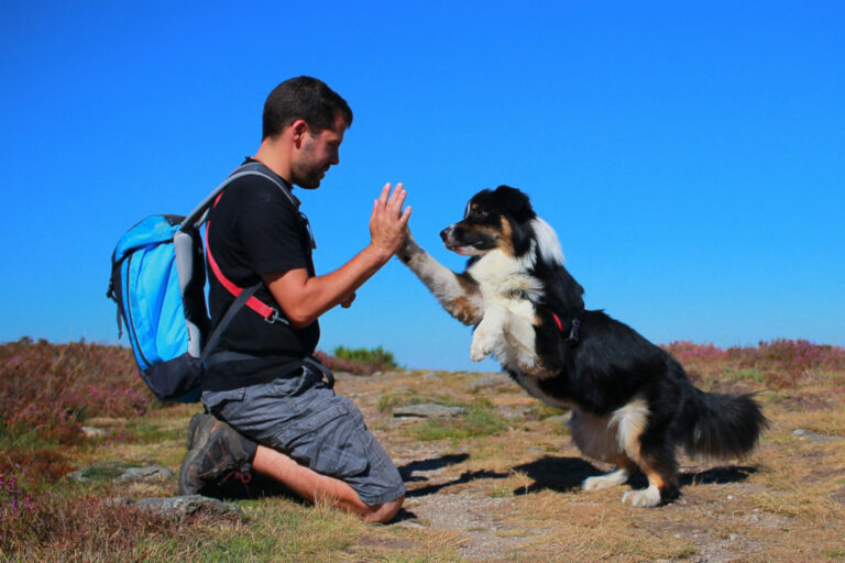 Pes dává s páníčkem high five