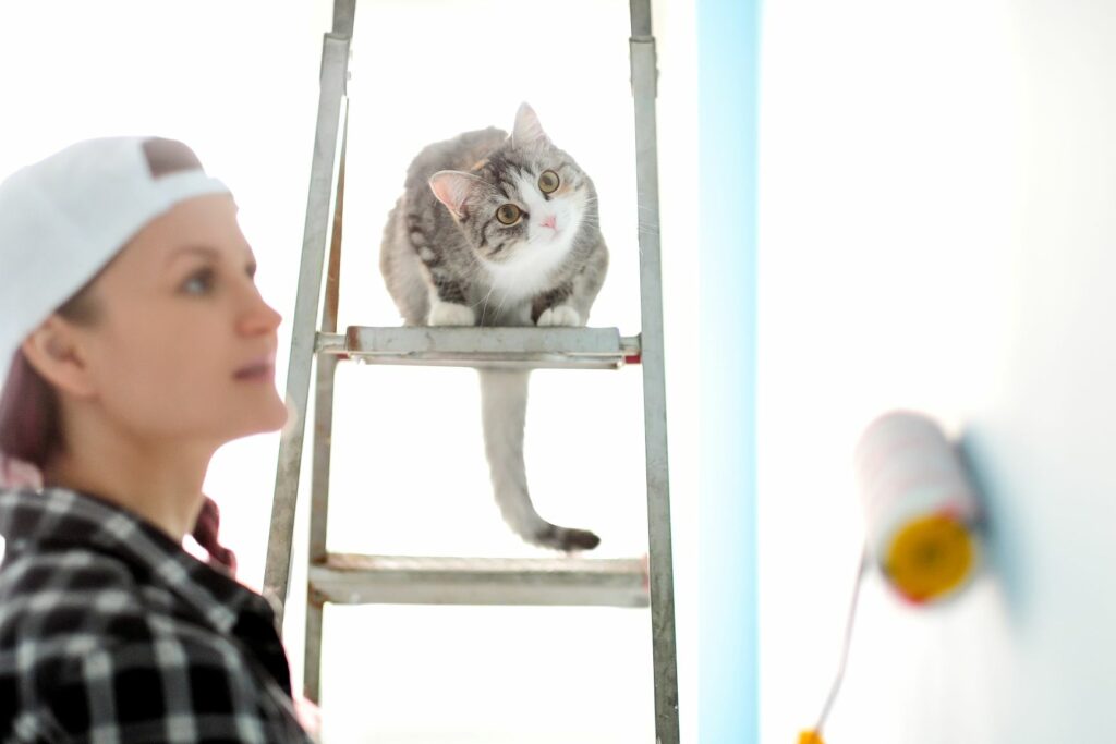 Žena maluje zeď a kočka se na ní dívá se štaflí