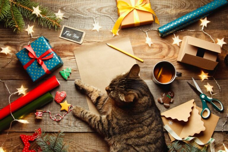 Kočka pomáhá při výrobě adventního kalendáře