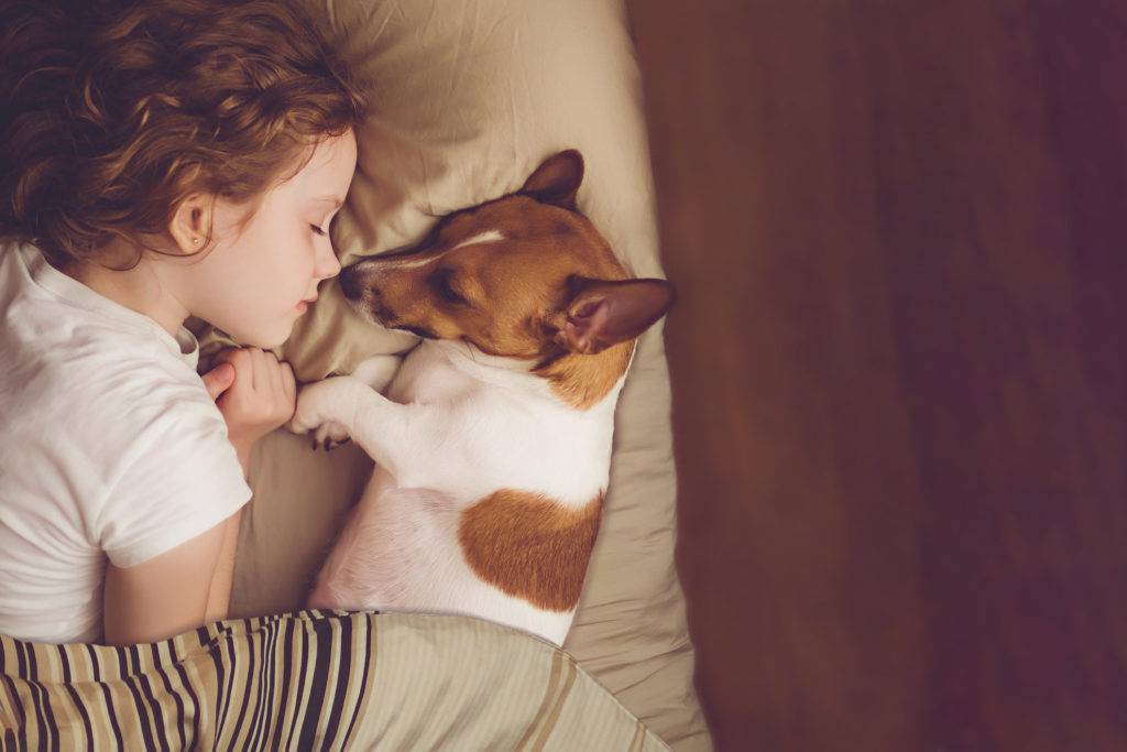 Dívka a Jack Russel teriér spí