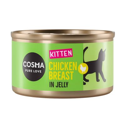Cosma Original Kitten