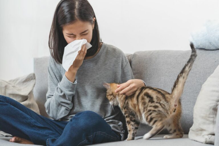 niesende frau wegen katzenallergie auf sofa