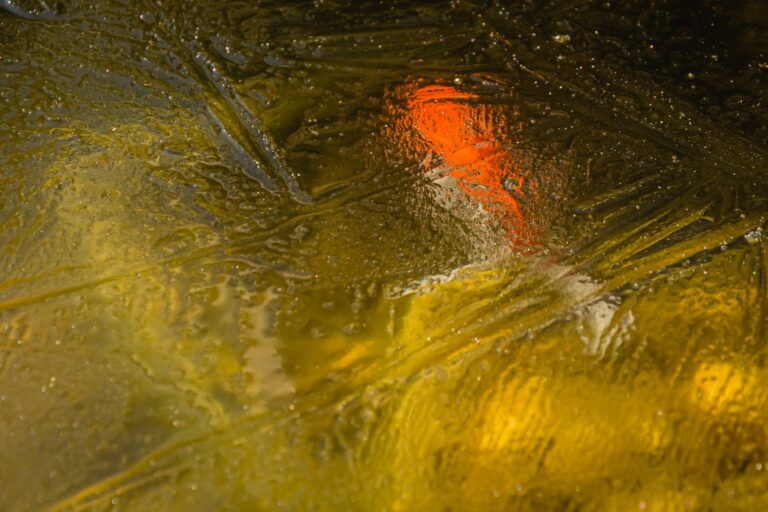 Zlatá rybka v jezírku pod ledem