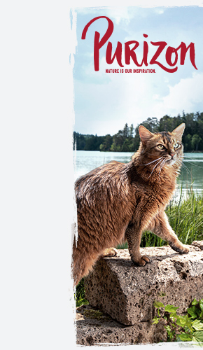 background_left_Purizon_cat_dry