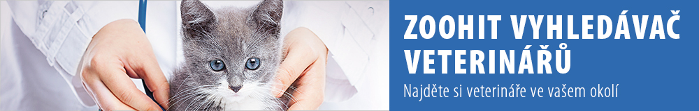 vet_search_cat__article_banner_3 