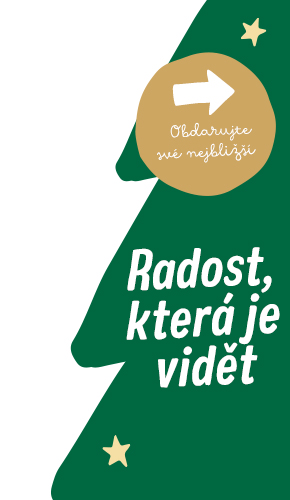 2023_09_Xmas_General_Left_290x500_CZ