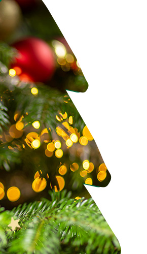 2023_09_Xmas_General_Right_290x500_CZ